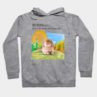 Bunny on a sunny day Hoodie